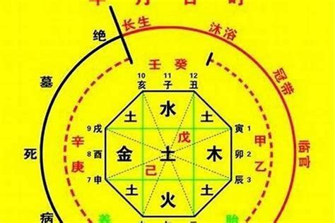 八字年柱|生辰八字算命、五行喜用神查询（免费测算）